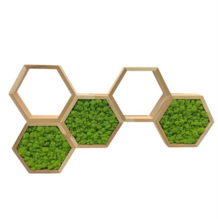 Police do kúpeľný z machom