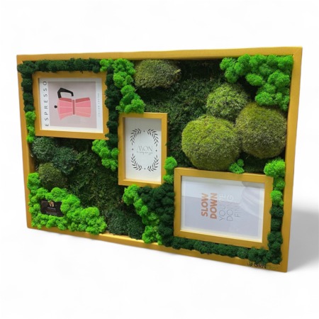 Machová dekorácia fotoram