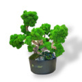 Machový bonsai