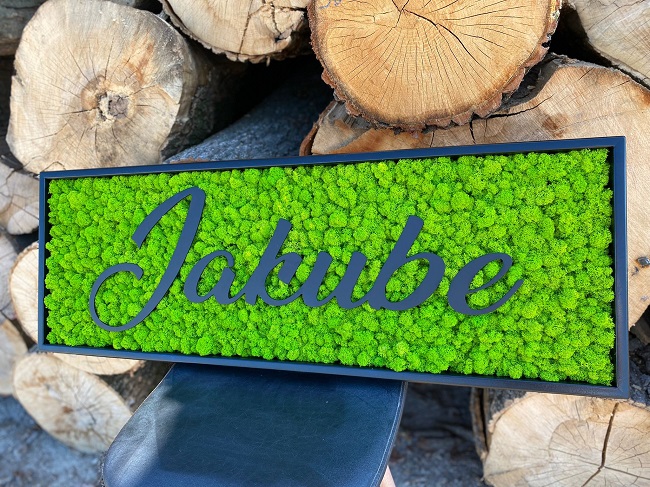 Machový obraz – LOGO Jakube