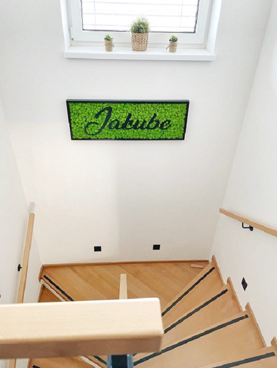 Machový obraz – LOGO Jakube