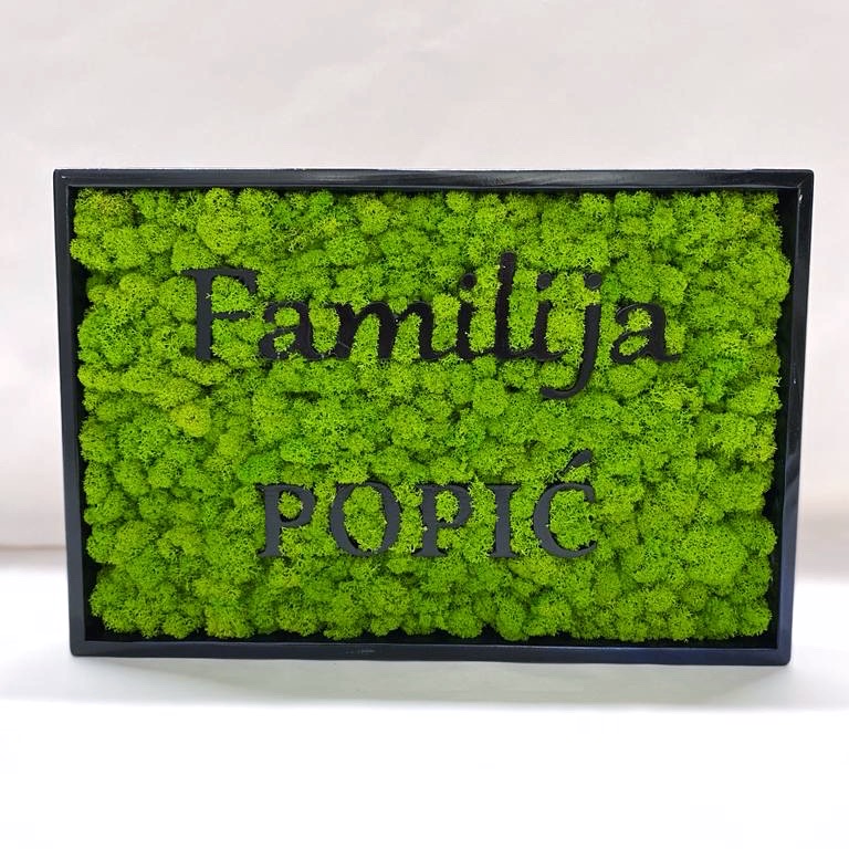 81772151-f7fe-436f-8c04-5ffee552b6e6.jpg Machový obraz – LOGO Family mix