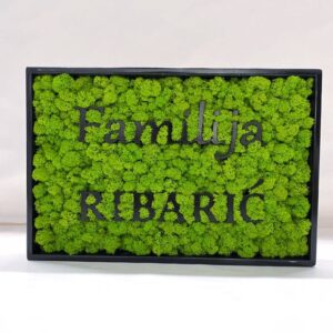 91aa7bd7-f191-41a7-9550-ee7d66866abc.jpg Machový obraz – LOGO Family mix