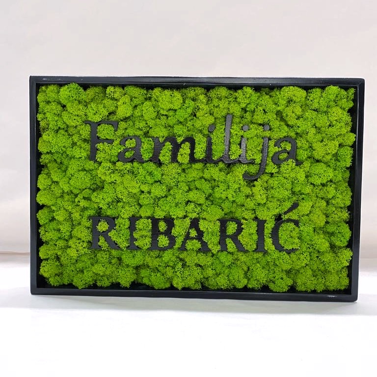 91aa7bd7-f191-41a7-9550-ee7d66866abc.jpg Machový obraz – LOGO Family mix