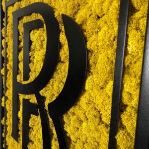 Machový obraz – LOGO Rolls-Royce čierný