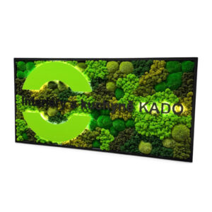 IMG_1405.jpeg Machový obraz - LOGO KADO LED