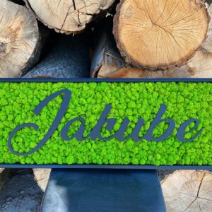 a06a50ce-d9ab-4e24-b15f-c6ea99565efc.jpg Machový obraz - LOGO Jakos building LED