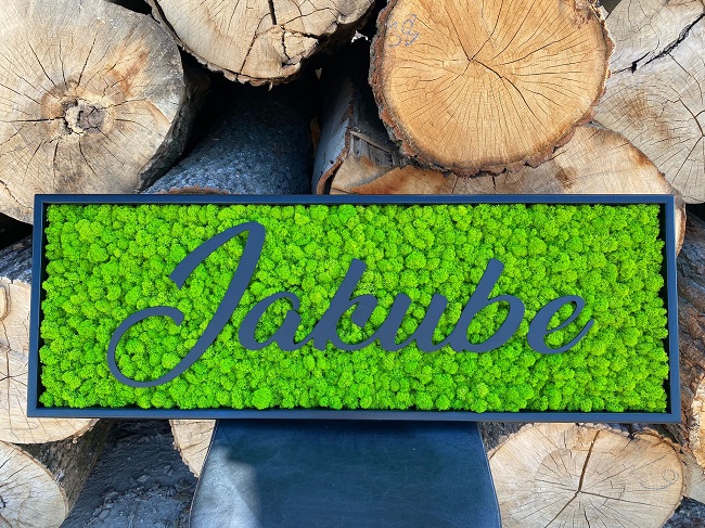 Machový obraz – LOGO Jakube