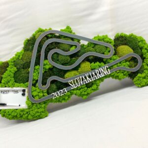 Machový obraz SLOVAKIARING
