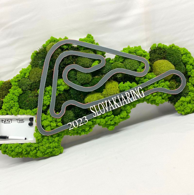 Machový obraz SLOVAKIARING