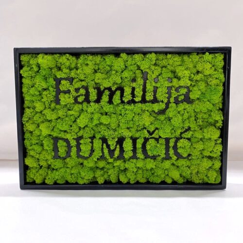 bf8f82f5-323a-40d4-99f3-f85b8300ac76.jpg Machový obraz – LOGO Family mix