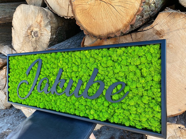 Machový obraz – LOGO Jakube