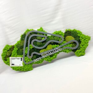 Machový obraz SLOVAKIARING