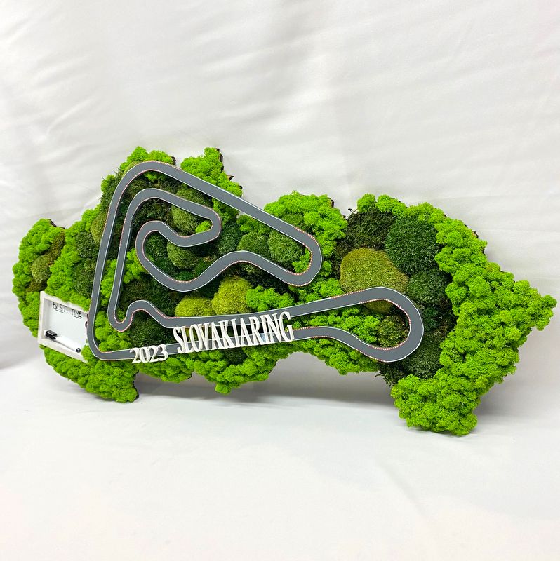 Machový obraz SLOVAKIARING
