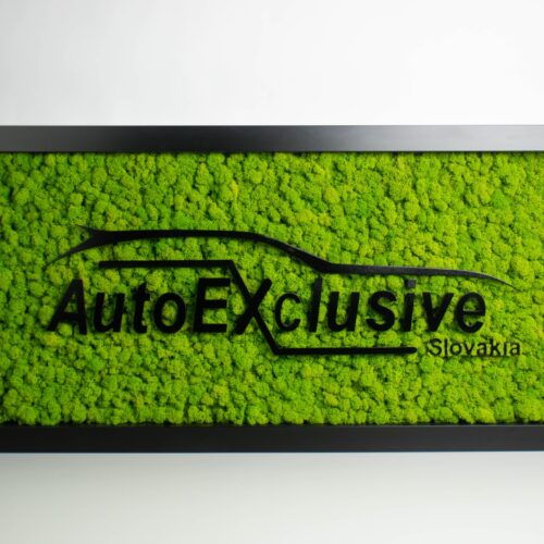 do-48-scaled-1.jpg Machový obraz – LOGO Autoexclusive