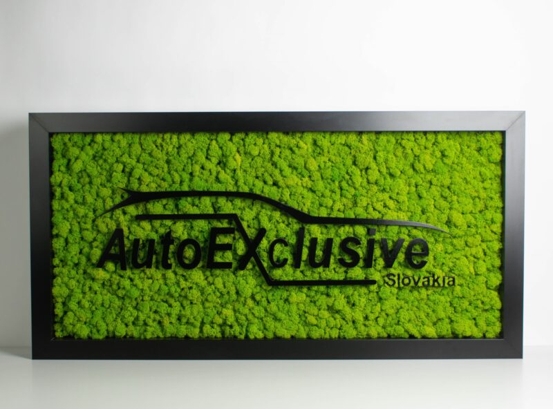 do-55-scaled-1.jpg Machový obraz – LOGO Autoexclusive