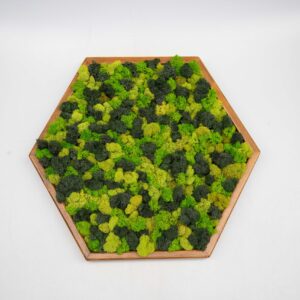 kvety-13420-scaled-1.jpg Machový obraz HEXAGON