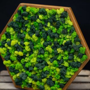 kvety-13472-scaled-1.jpg Machový obraz HEXAGON