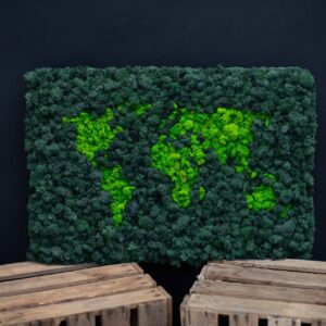 Machový obraz MAPA LED