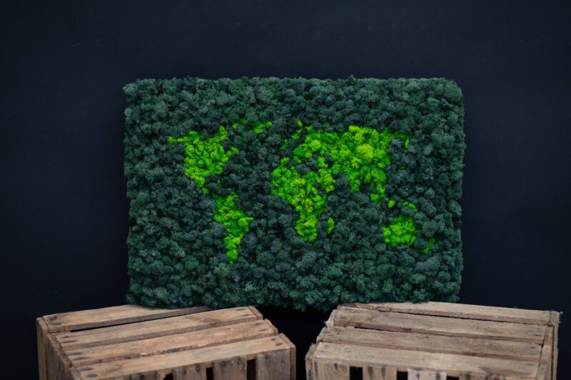 Machový obraz MAPA LED