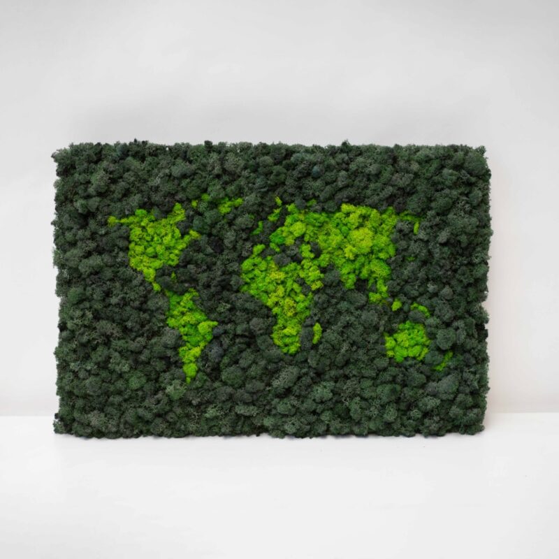 Machový obraz MAPA LED